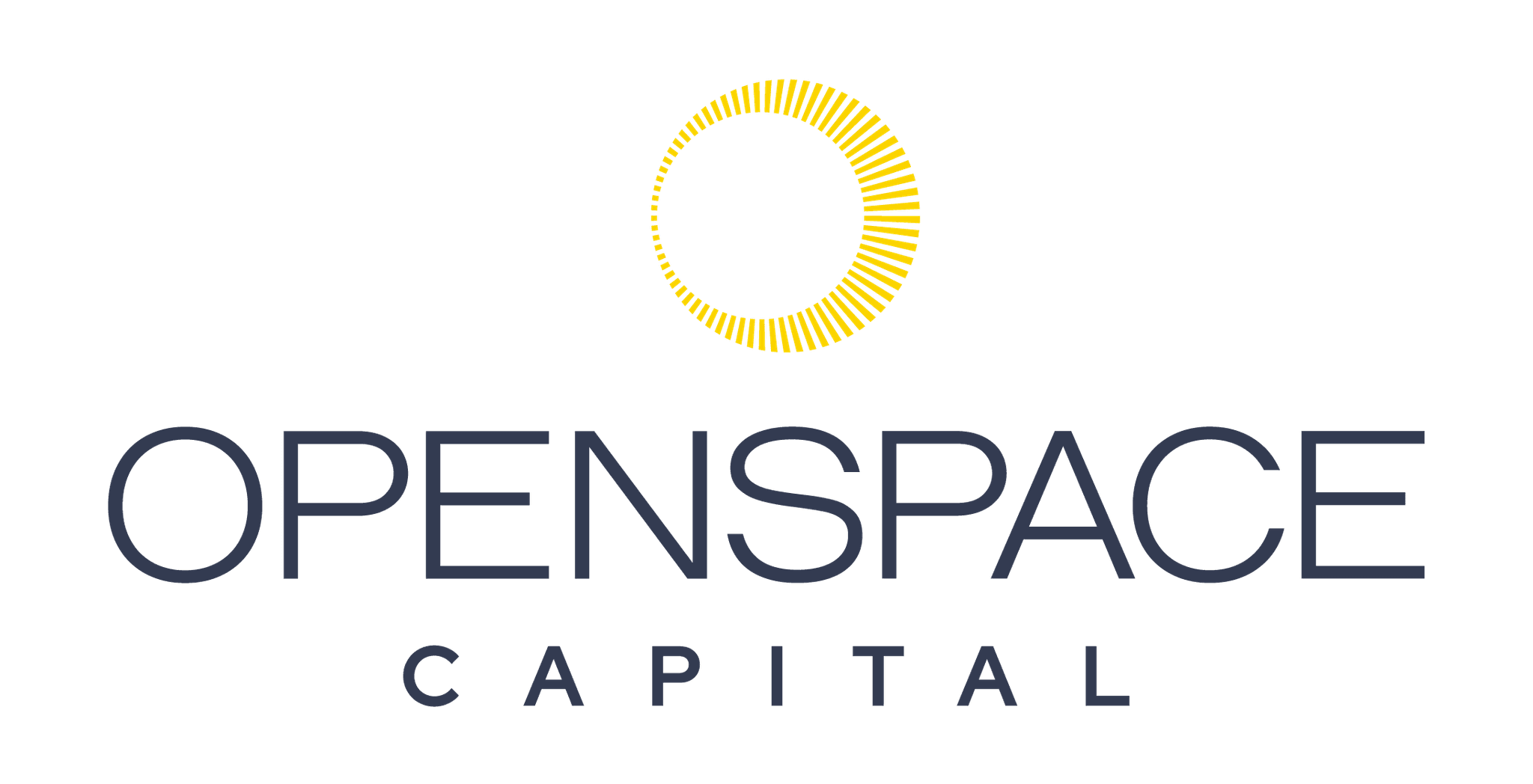 Openspace Ventures logo