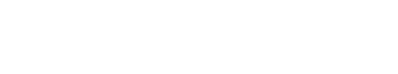 INSHUR logo