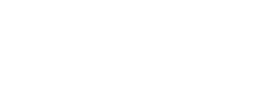Seyna logo