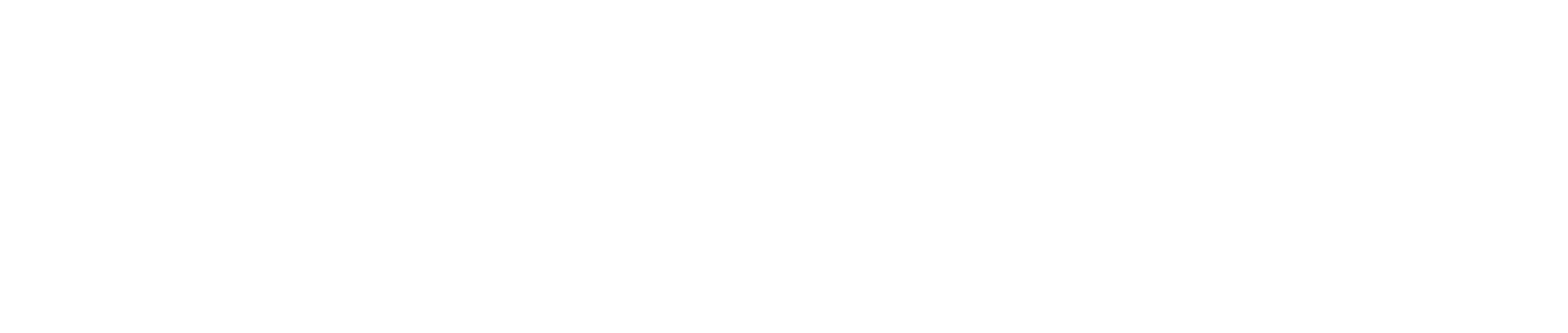 Sona Asset Management logo
