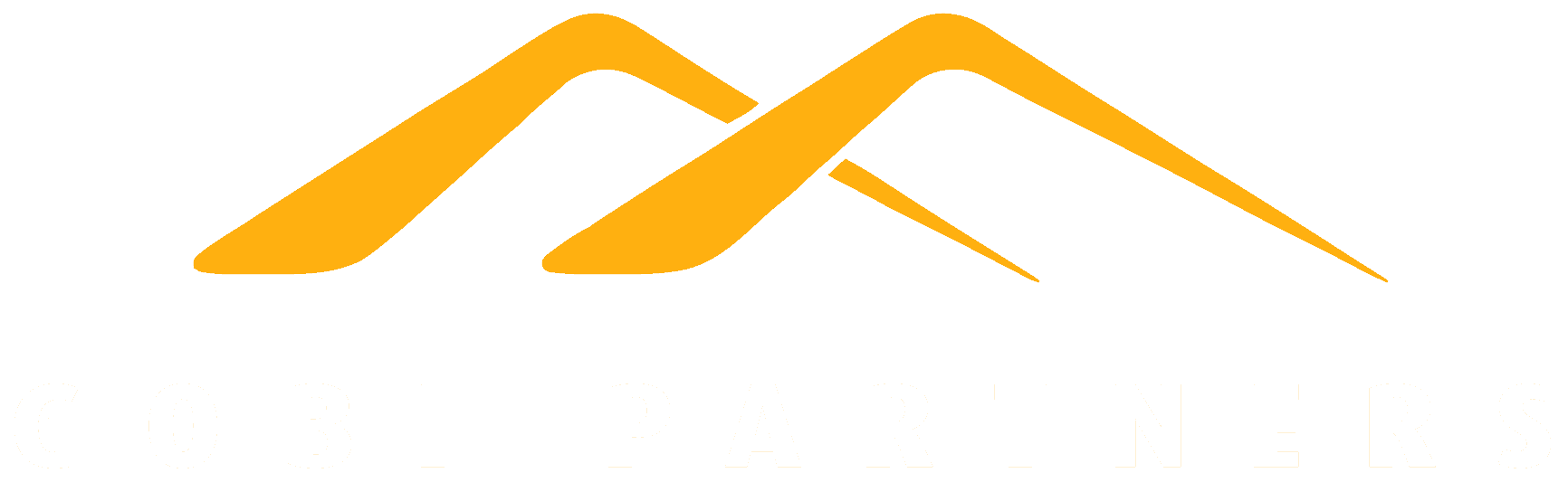 Gobi Partners logo