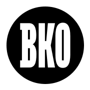 Brooklyn Community Foundation logo