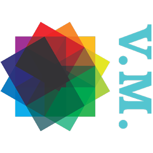 Vision Meditech Group logo