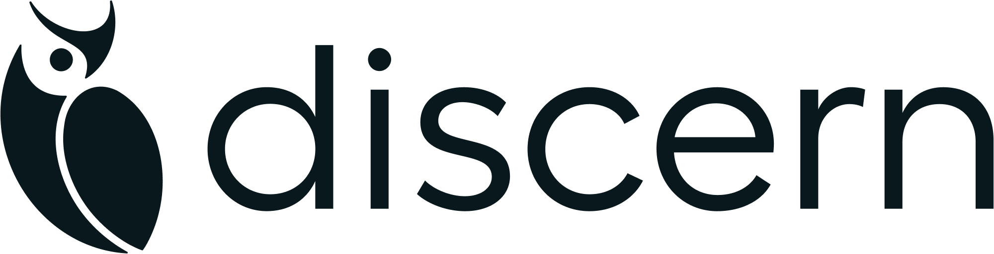 DISCERN logo
