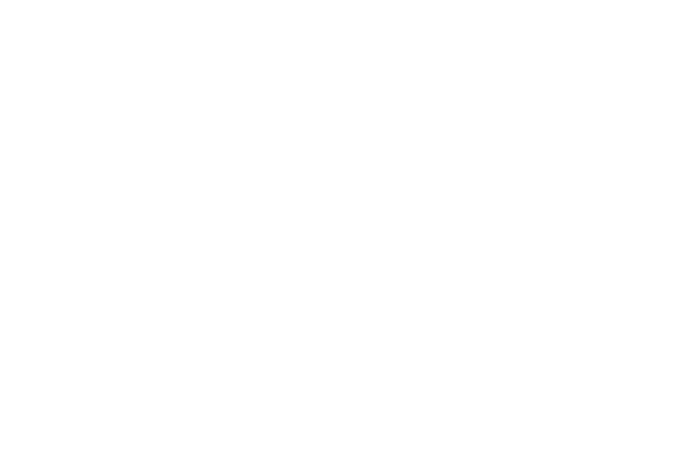 Nexi Germany logo