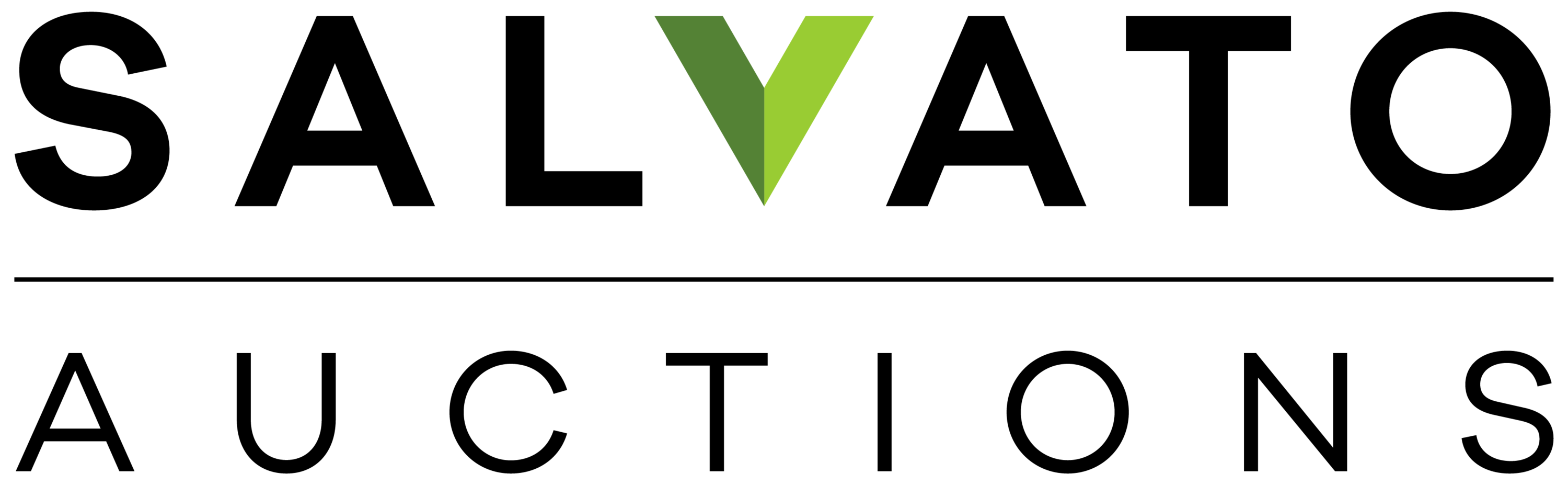 Salvato logo