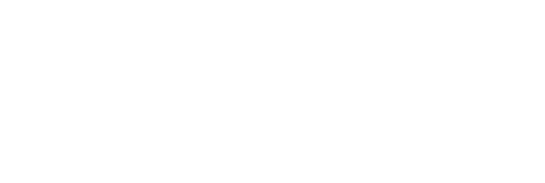 DIGITAL COMMERCE GROUP logo